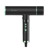 MINT Hummingbird Hair Dryer