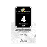 Giesel Water Color Natural Hair Dye 100g