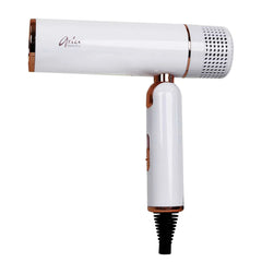 Aria Beauty Ultra-Sleek Foldable Dryer