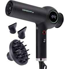 MINT Dragonfly Ionic Dryer