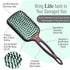 files/mint-kaze-paddle-brush1.jpg