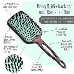 MINT Kaze Paddle Brush